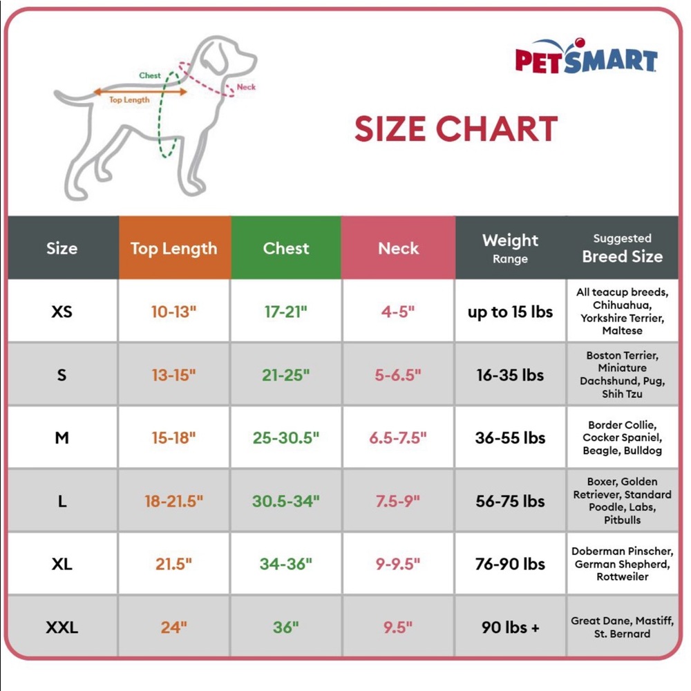 Medium dog coat - Picture 2 of 3